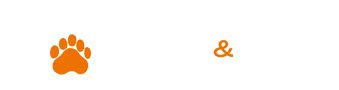 Bull & Bear Academy trading, aprender trading